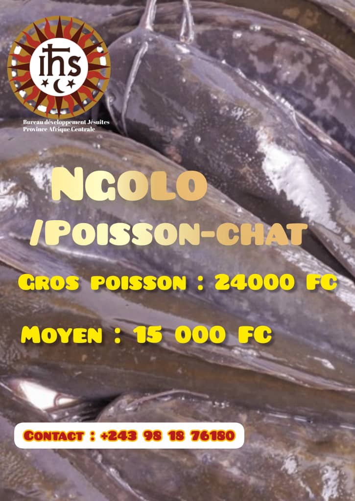 MANGES BIO AVEC LES PERES JESUITES 