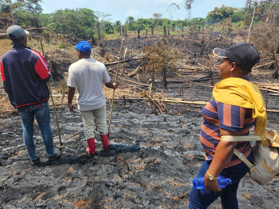 Le Centre Maisha : un acteur engagé dans l'économie verte à Kisangani  